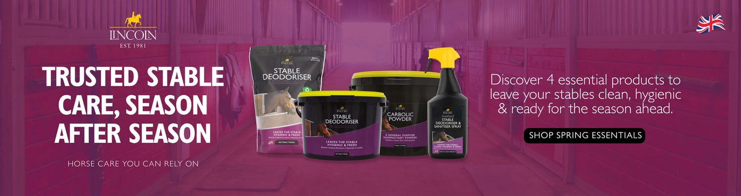 Lincoln - Muddy Buddy 2025